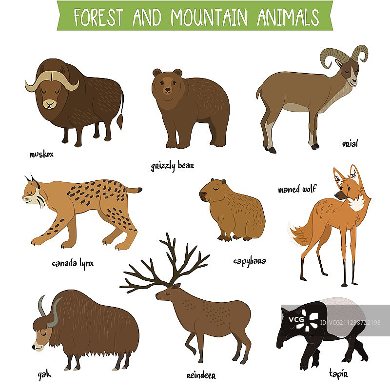 森林和山地动物隔离素材合集图片素材