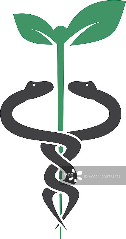 医疗蛇形图案设计模板图片素材