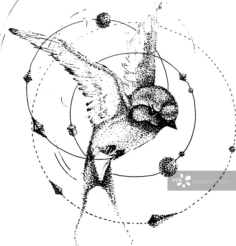 手绘雨燕或燕子纹身主题图片素材