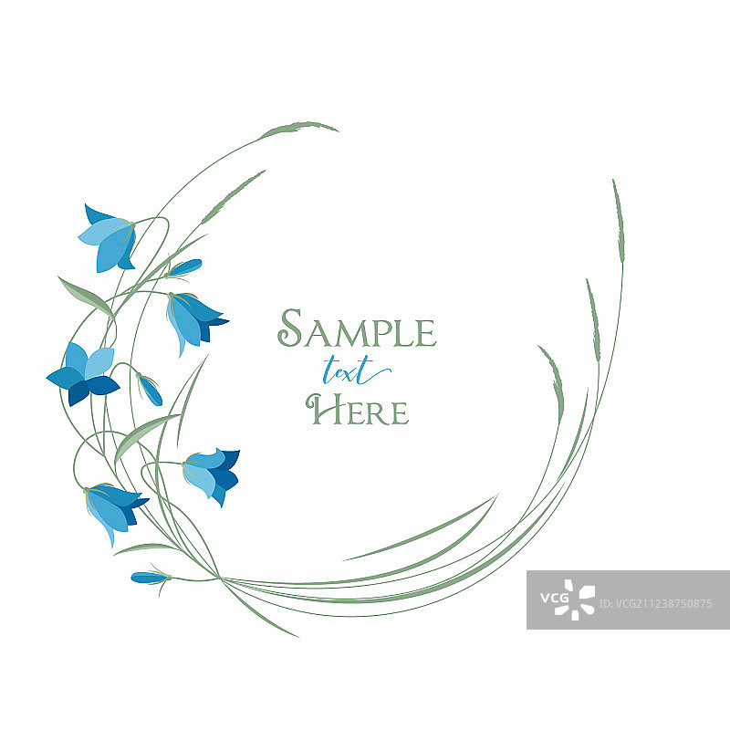 夏季花卉风铃草图片素材