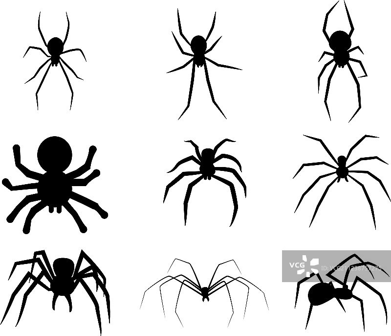黑色剪影蜘蛛图标图片素材