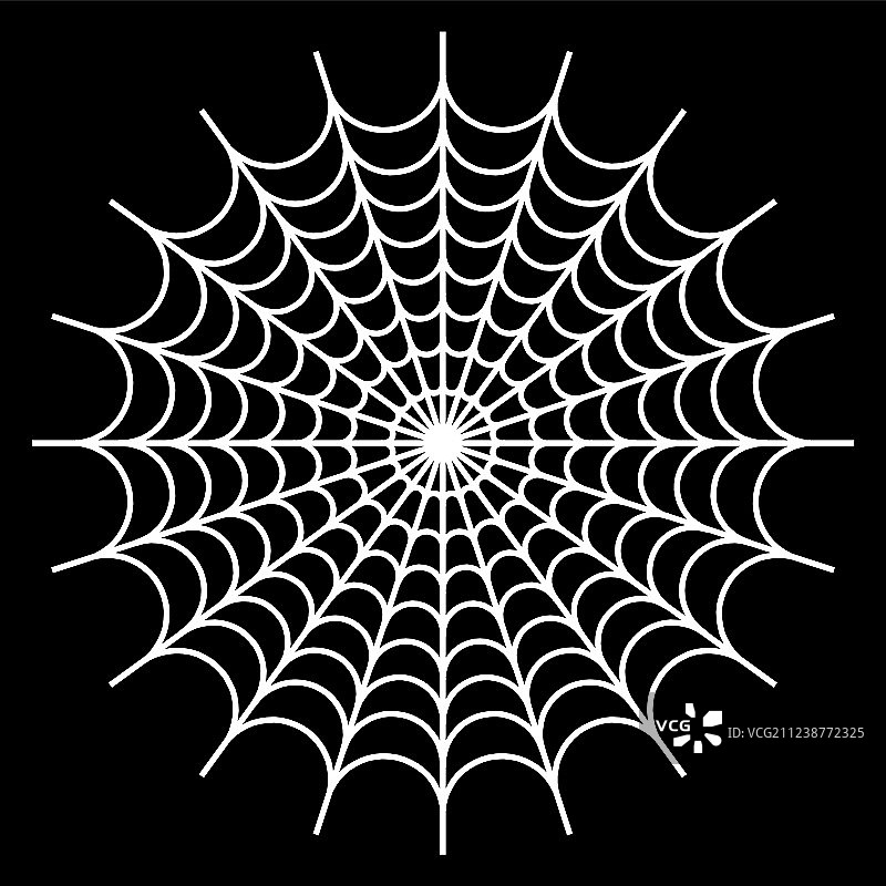 背景上的白色蜘蛛图片素材