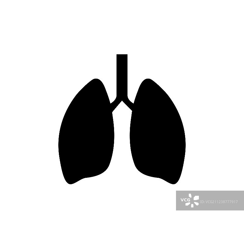 肺部人体图标：呼吸系统健康肺部图片素材
