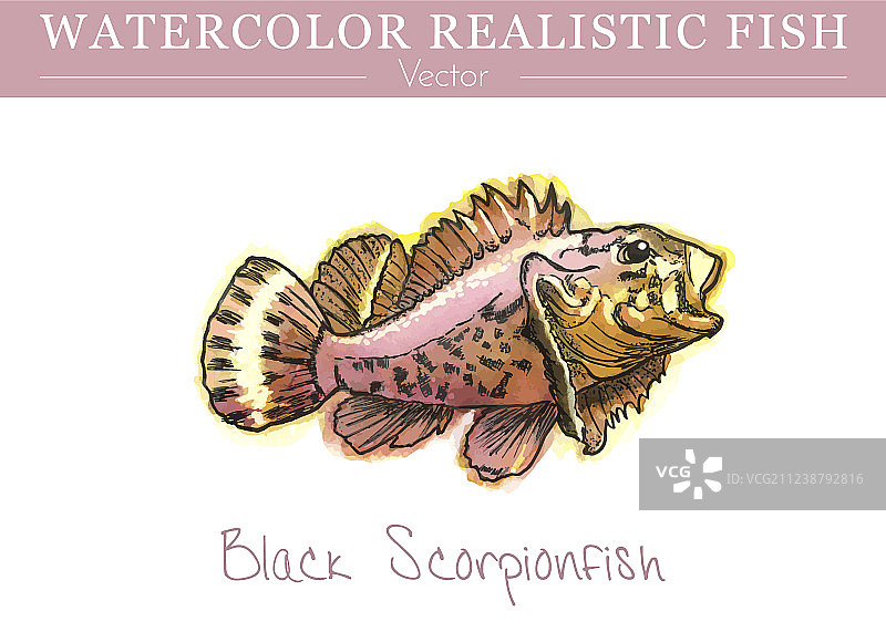 手绘水彩食用鱼设计图片素材