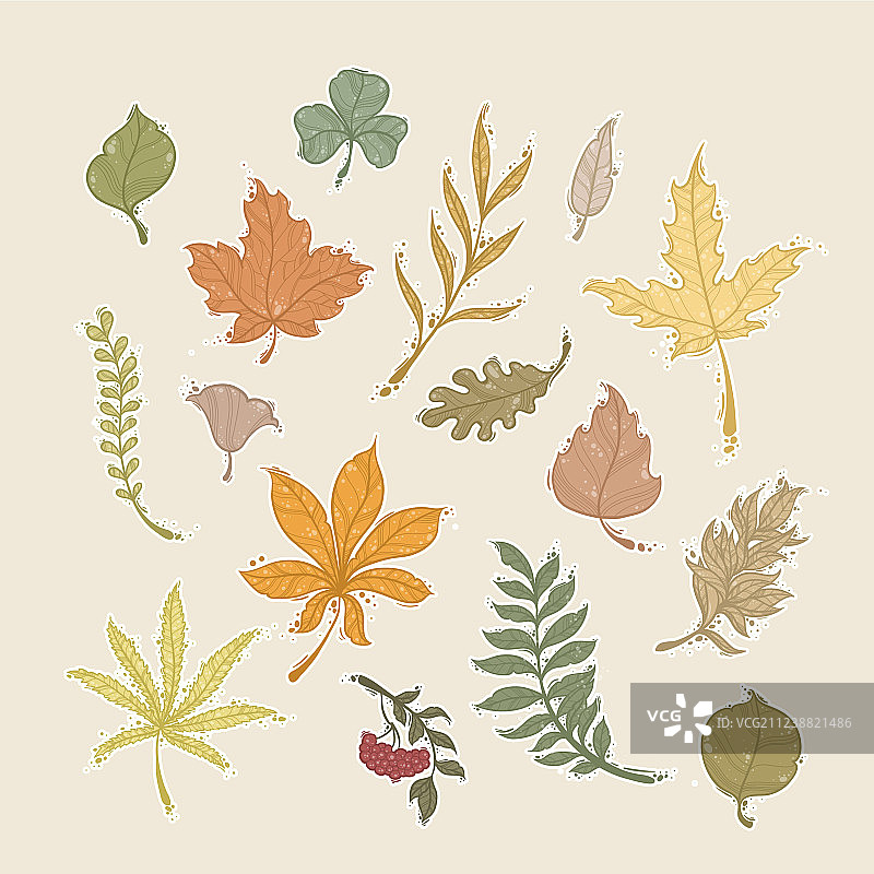 秋叶集合图片素材