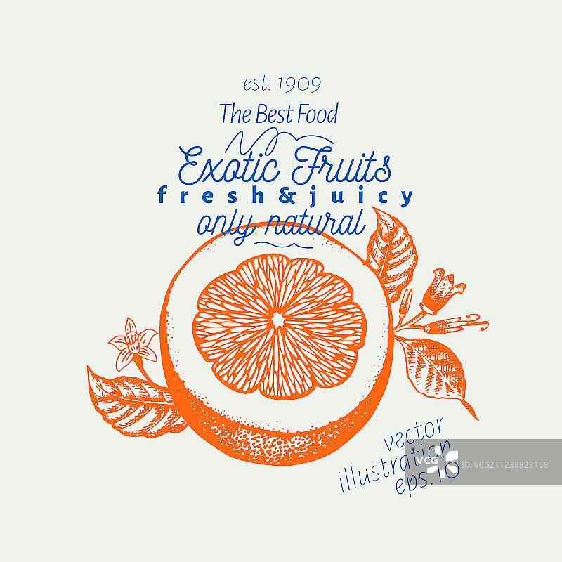 橙色手绘水果图片素材