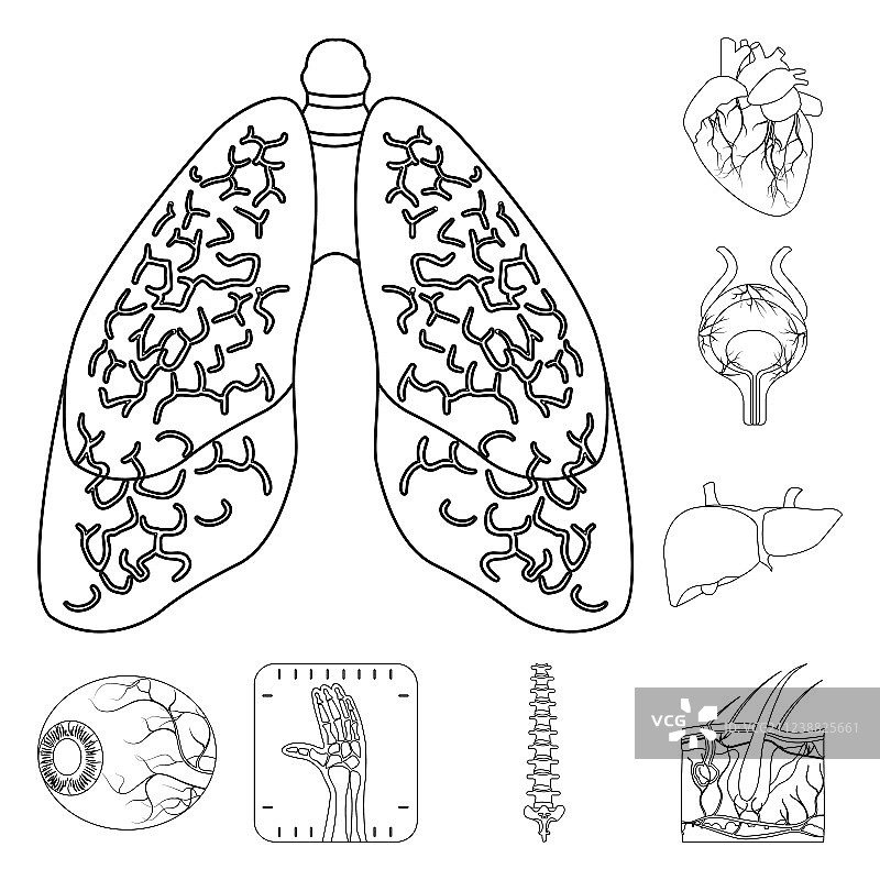身体和人体标志图片素材