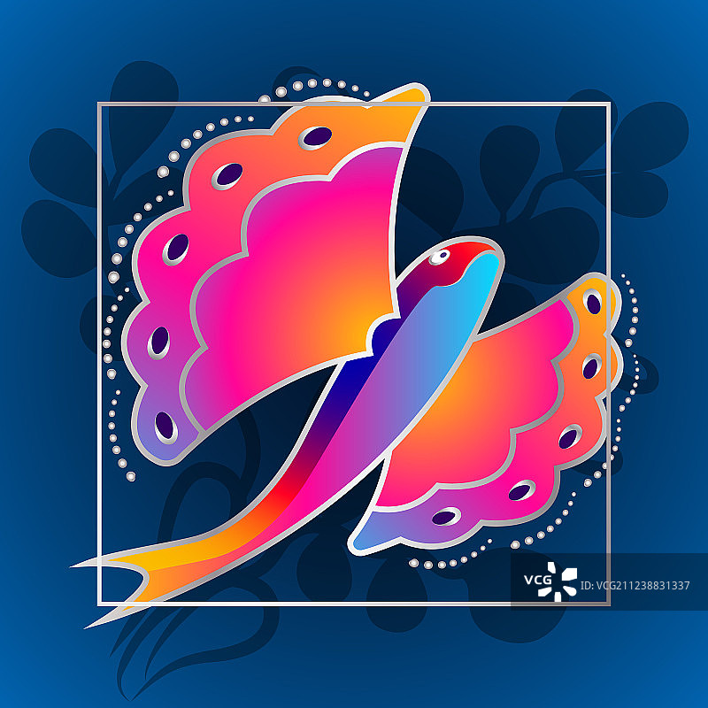 奇异的飞鱼图片素材