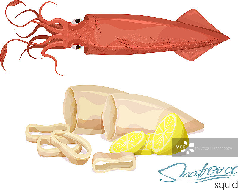 海怪海洋动物鱿鱼触手图片素材