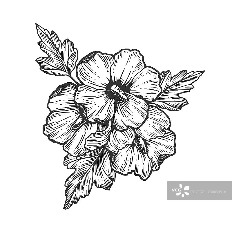 芙蓉花雕刻图片素材