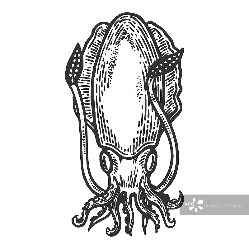 海生动物乌贼雕刻图片素材