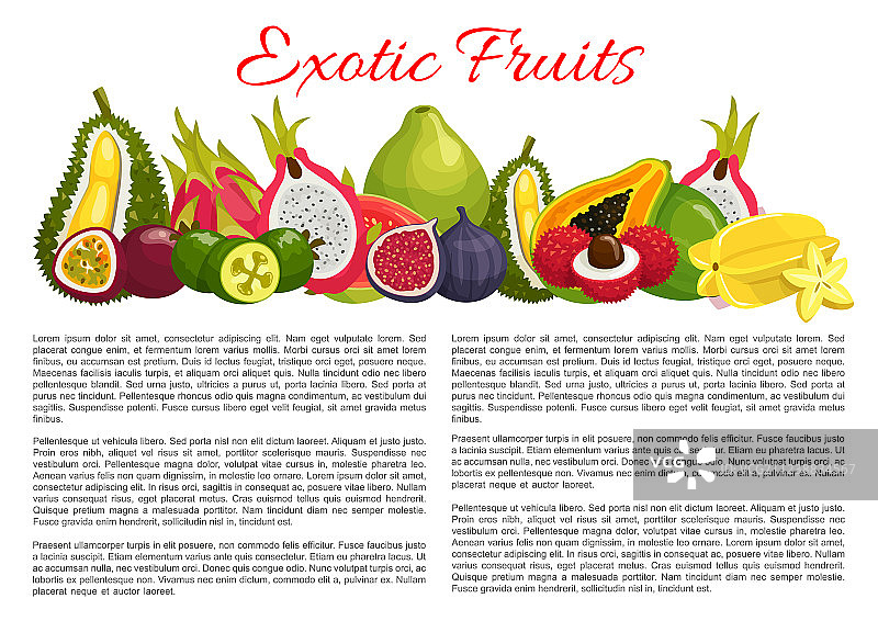 热带异国水果信息海报图片素材