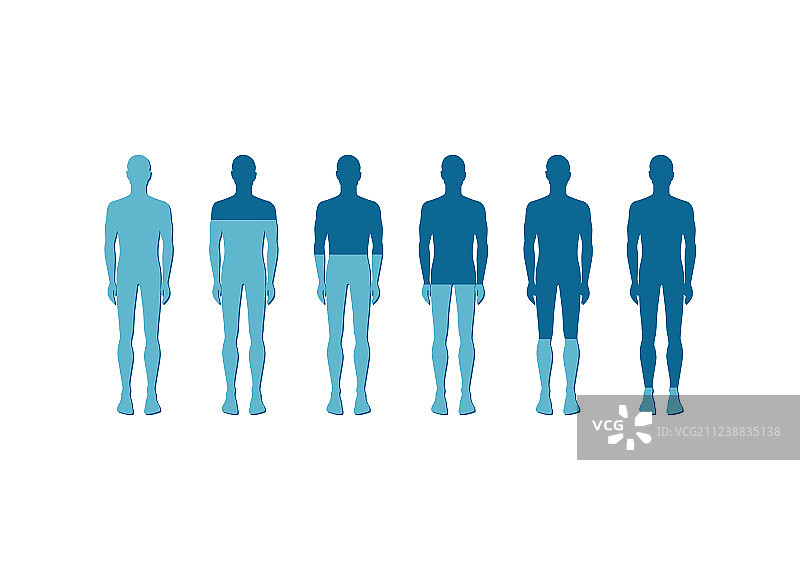 人体数量比例图标图片素材