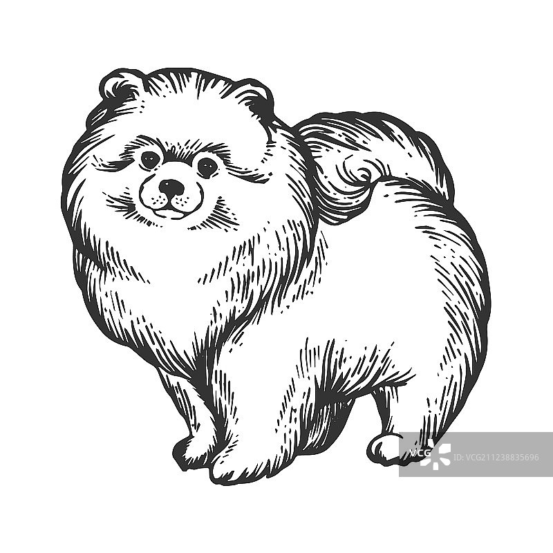 尖嘴犬动物雕刻图片素材