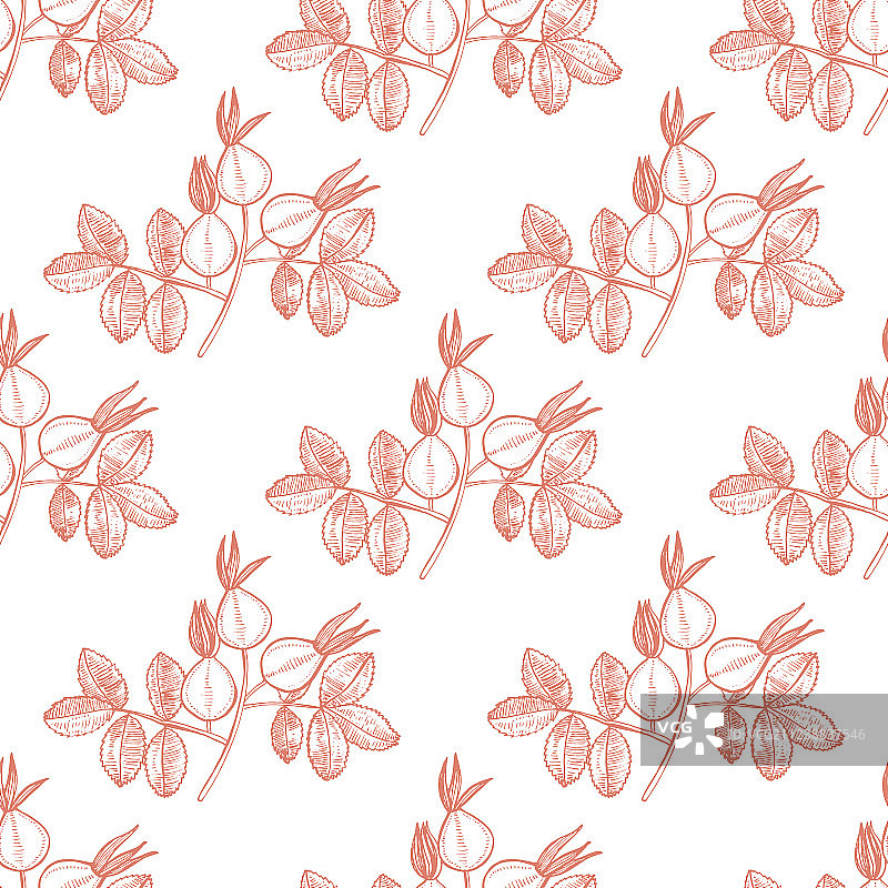 手绘风格的玫瑰果图案图片素材