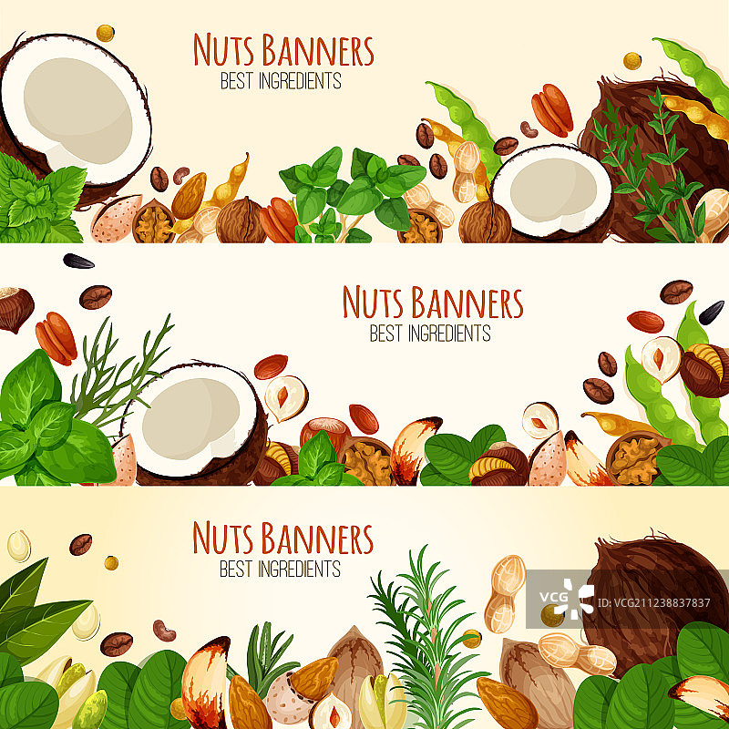 坚果和水果种子banner图片素材