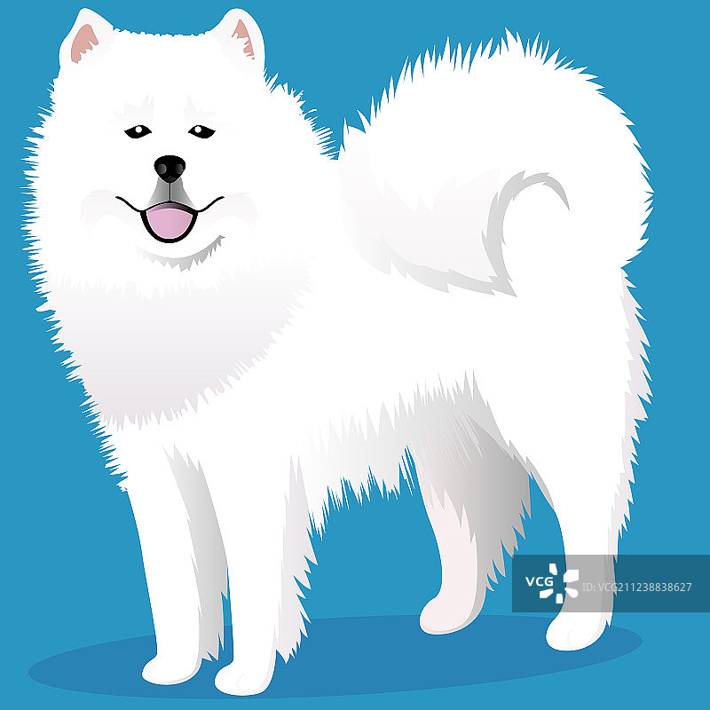 萨摩耶犬卡通图片素材