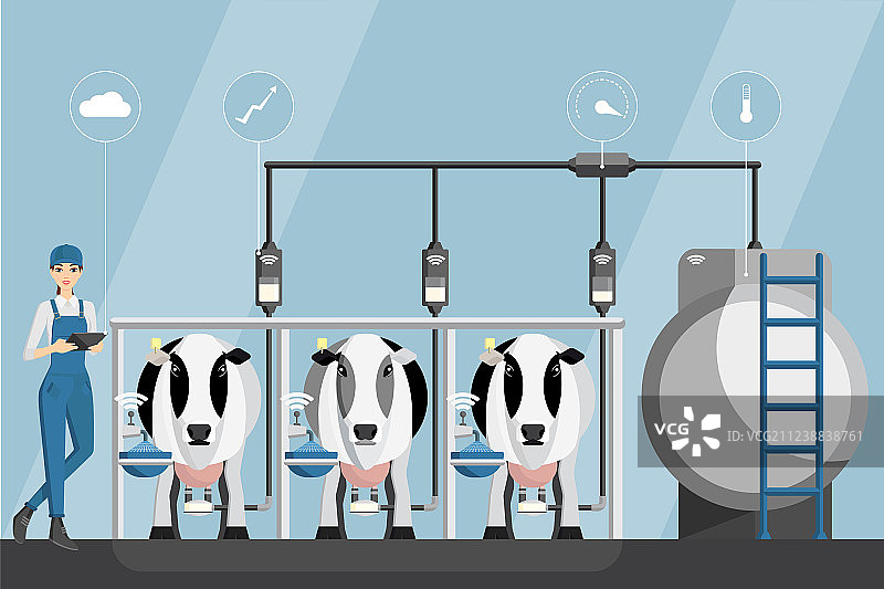 在现代奶牛场使用平板电脑的女农图片素材