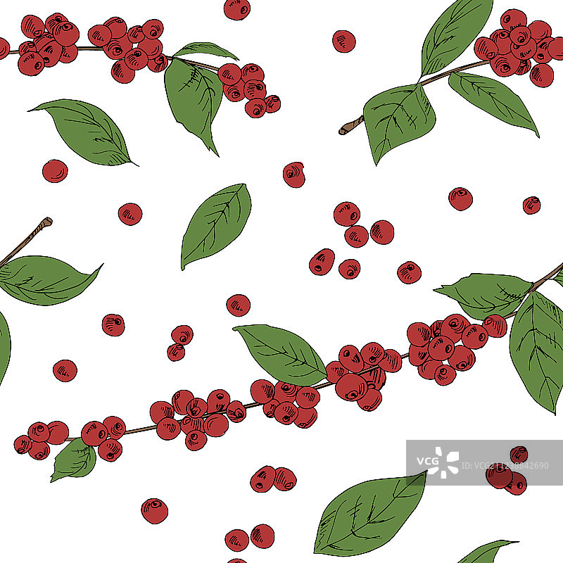 无缝背景：咖啡树叶与果实图片素材