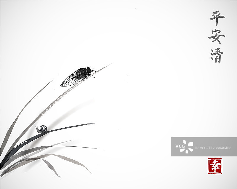 草叶上的蝉和小蜗牛图片素材