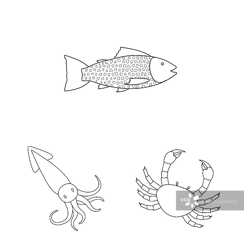 食物和海洋符号集图片素材