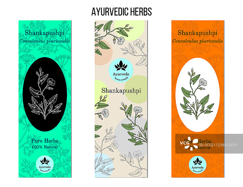 阿育吠陀草药banner：Shankapushpi图片素材