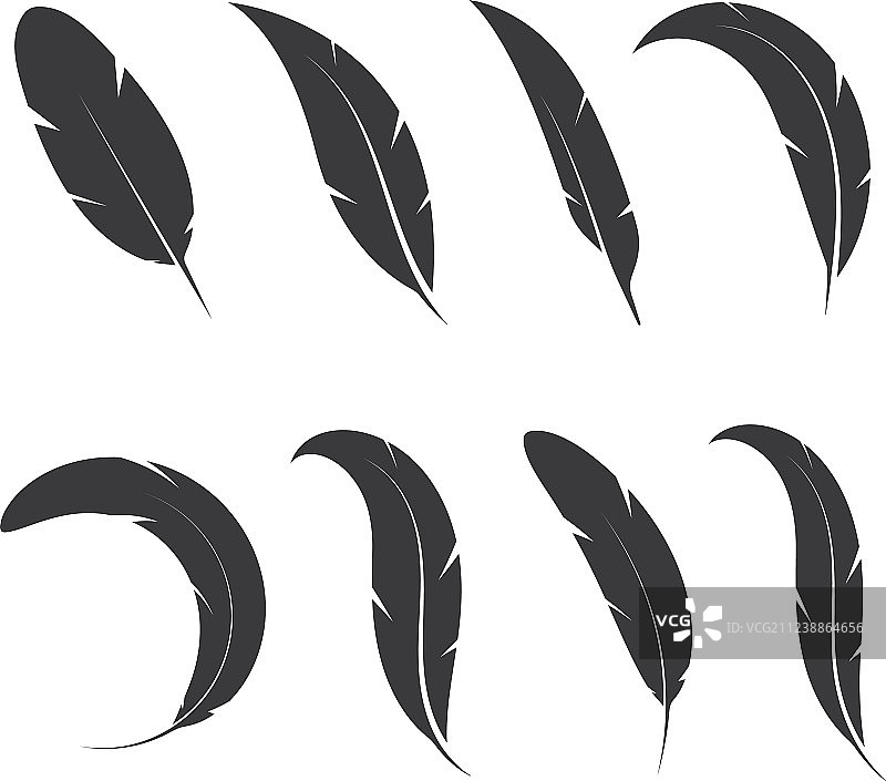 羽毛图标模板图片素材