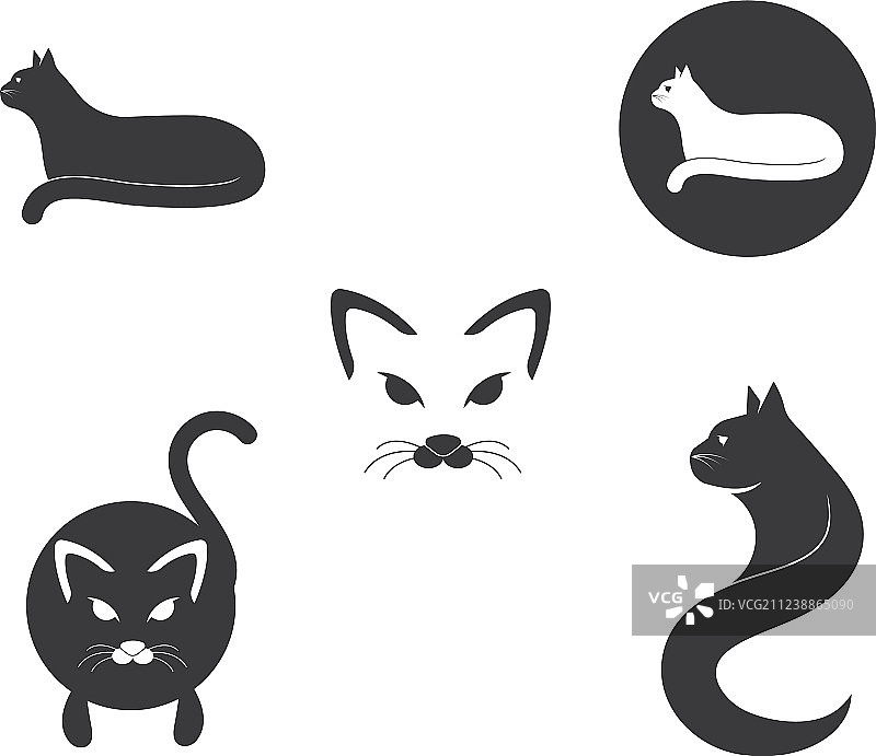 可爱猫咪品种宠物合集图片素材