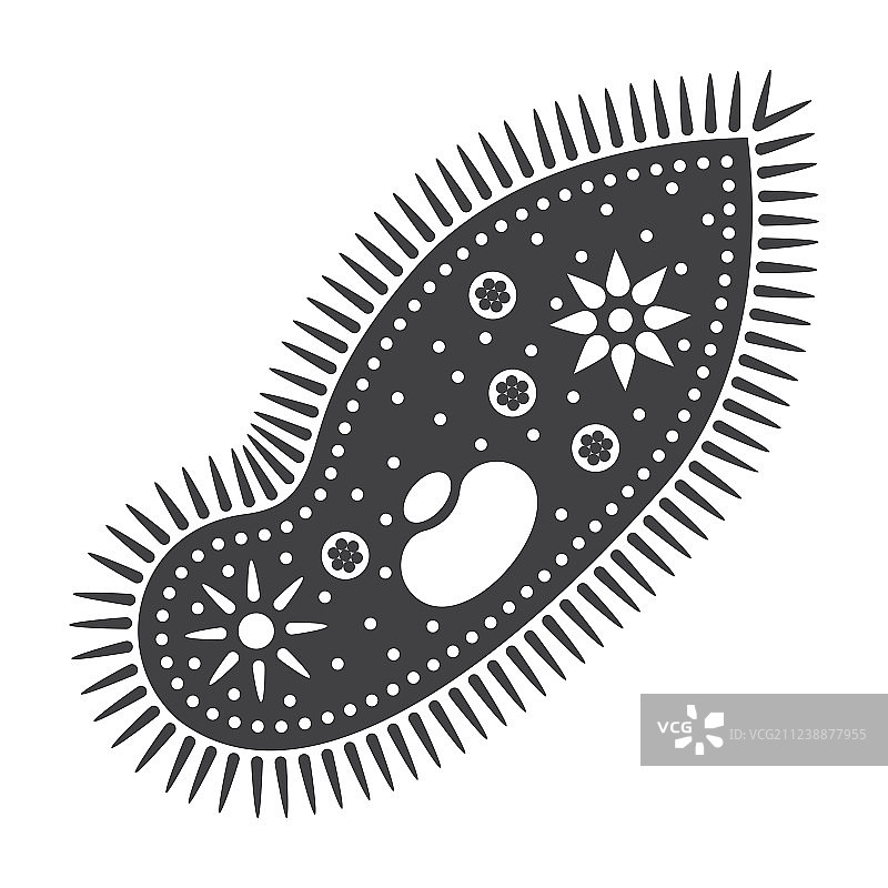 尾草履虫单细胞生物图片素材