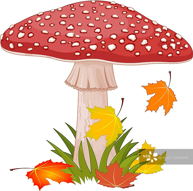 安妮塔图片素材