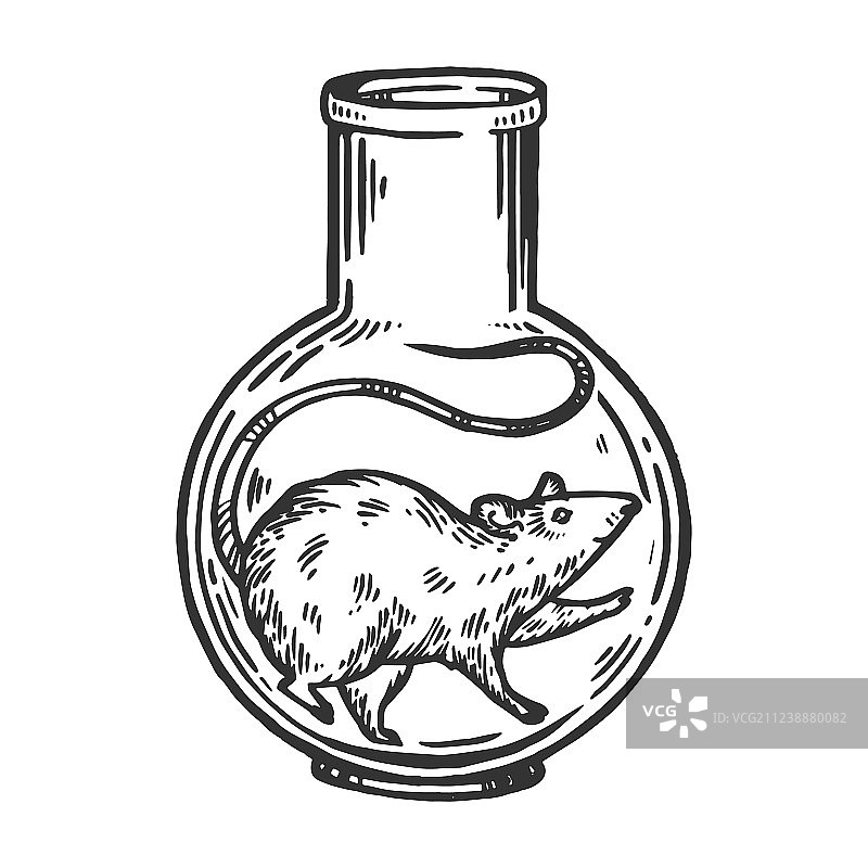 烧瓶中的实验老鼠雕刻图片素材