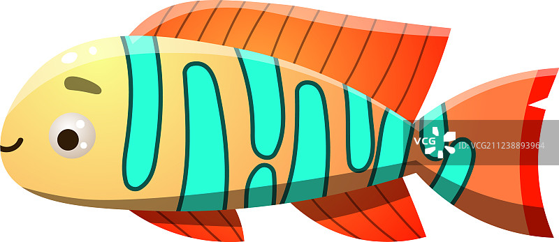 珊瑚礁中的神仙鱼图片素材