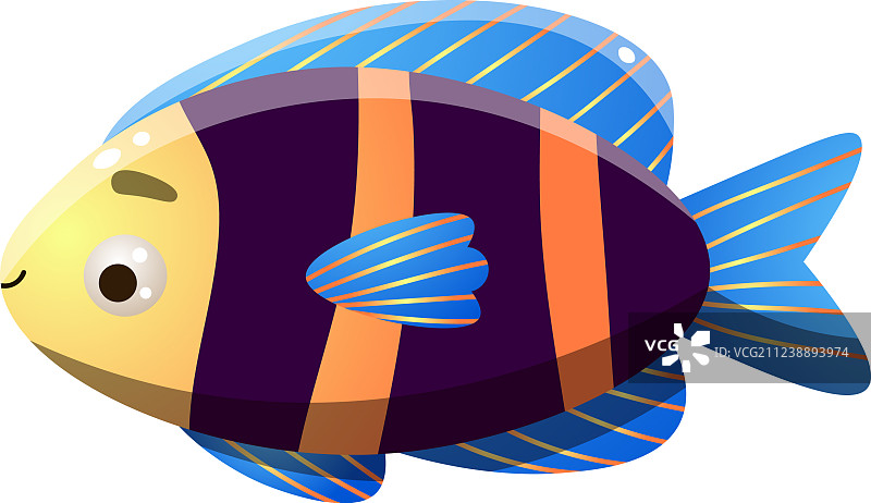 珊瑚礁中的神仙鱼图片素材