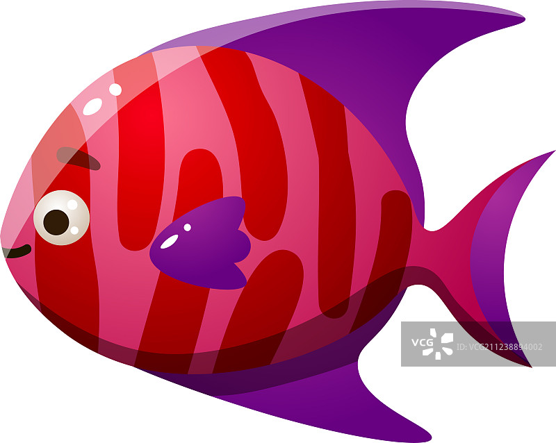 紫色鱼鳍的红色珊瑚礁鱼栅格图图片素材