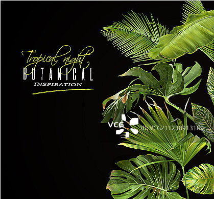 热带之夜banner图片素材