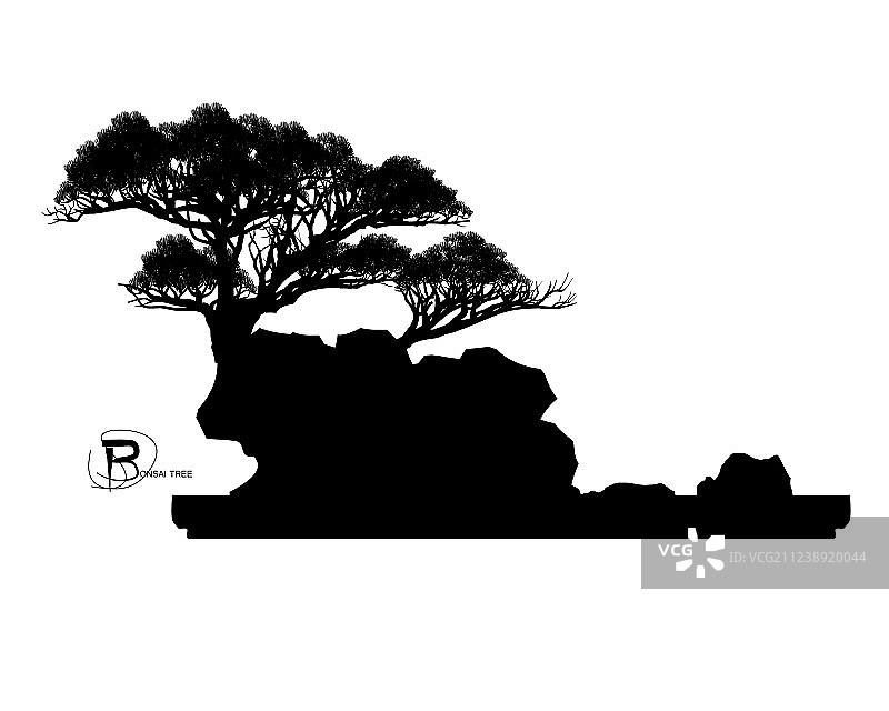 盆景树图片素材