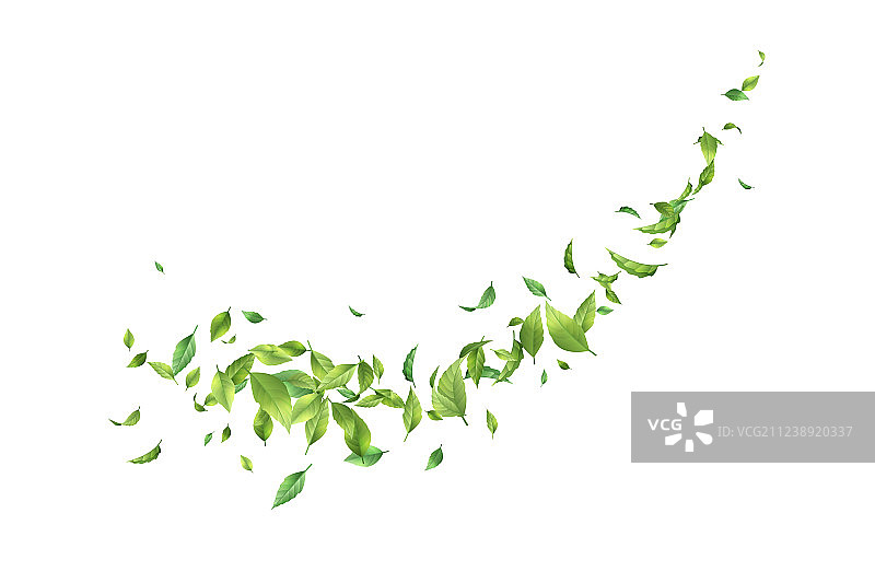 风中飘动的绿叶图片素材