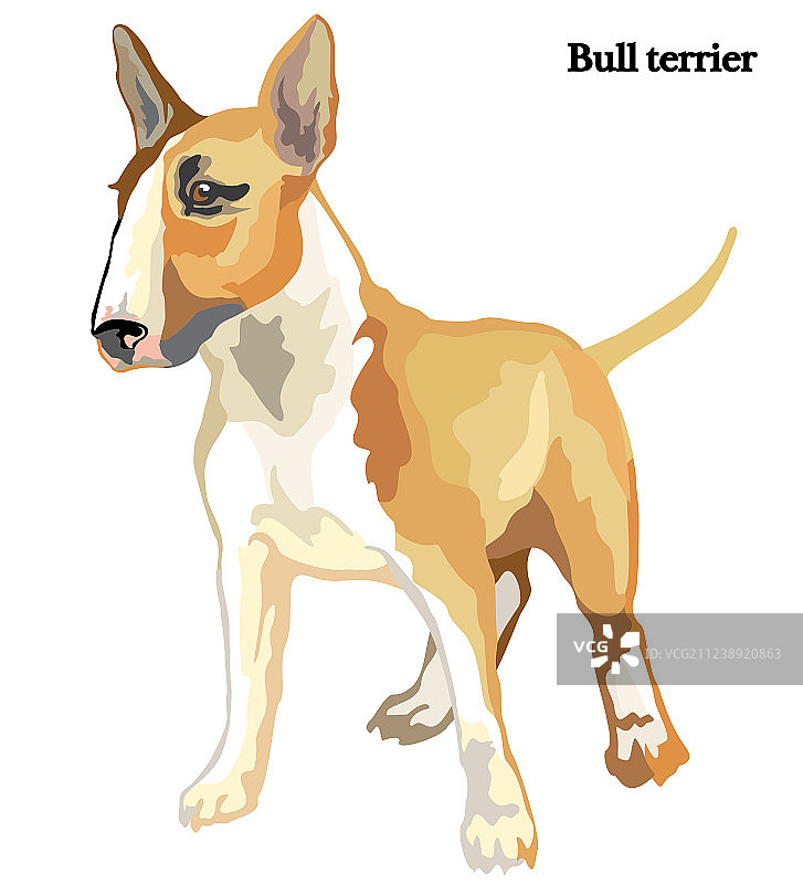 牛头梗图片素材