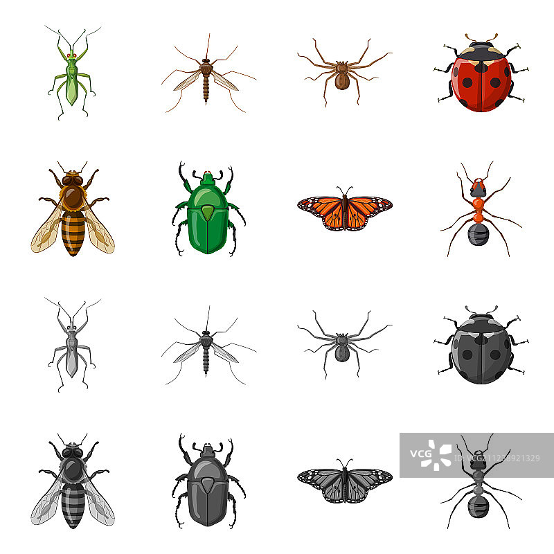 昆虫和苍蝇符号集图片素材