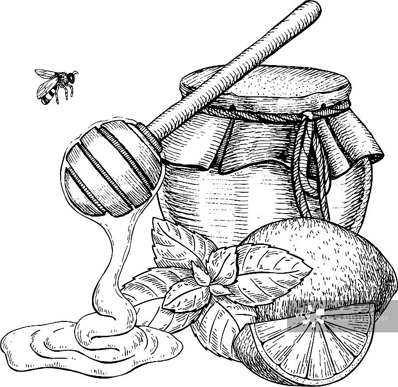 柠檬薄荷蜂蜜手绘罐子图片素材