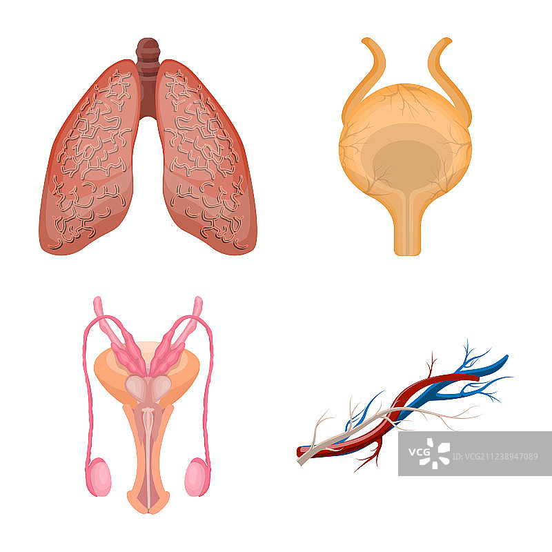 身体人体标志图片素材