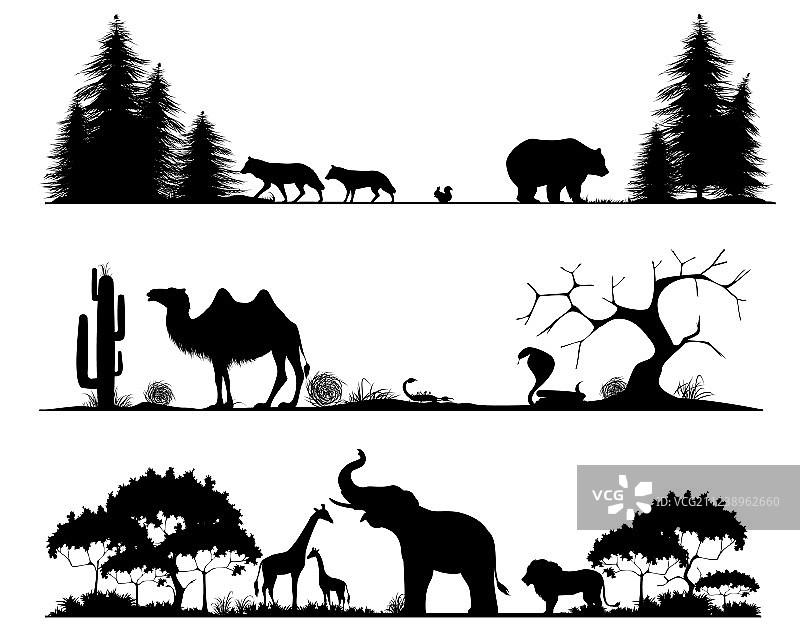 泰加林、沙漠和稀树草原图片素材