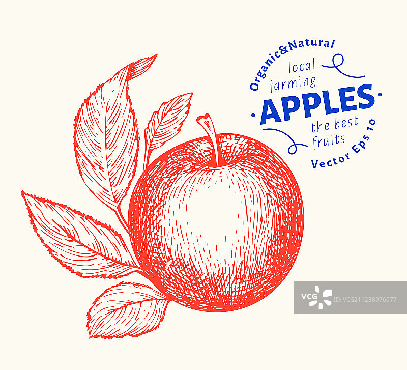 手绘苹果枝花园水果雕刻图片素材