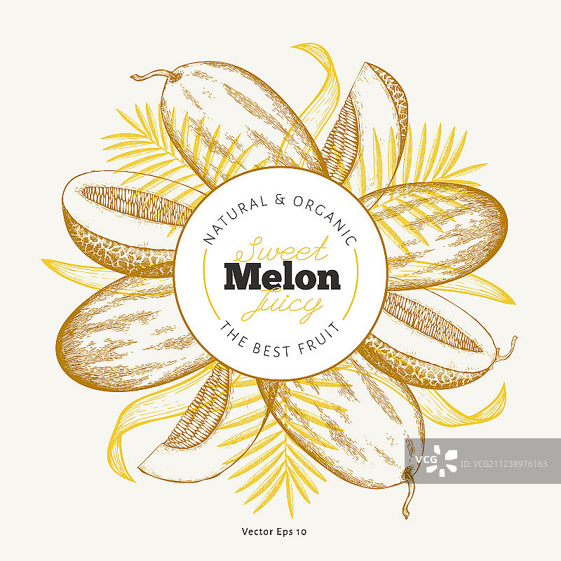 哈密瓜设计模板图片素材