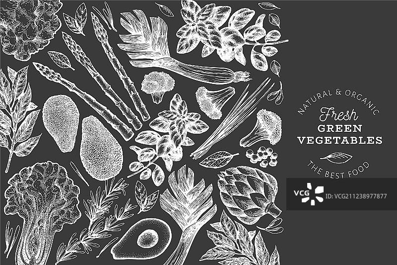 手绘绿色蔬菜设计模板图片素材