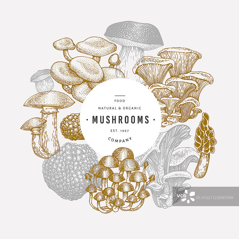 手绘蘑菇设计模板图片素材