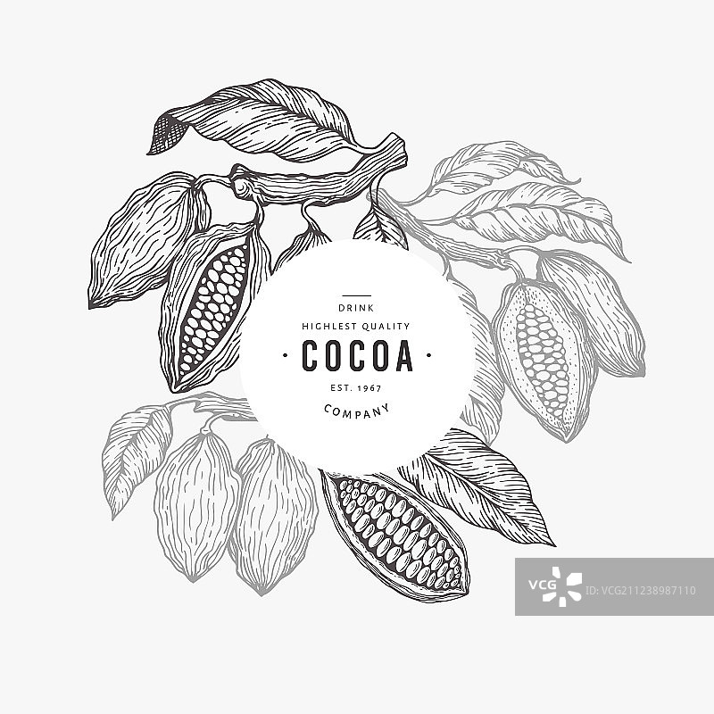 可可豆树banner模板图片素材