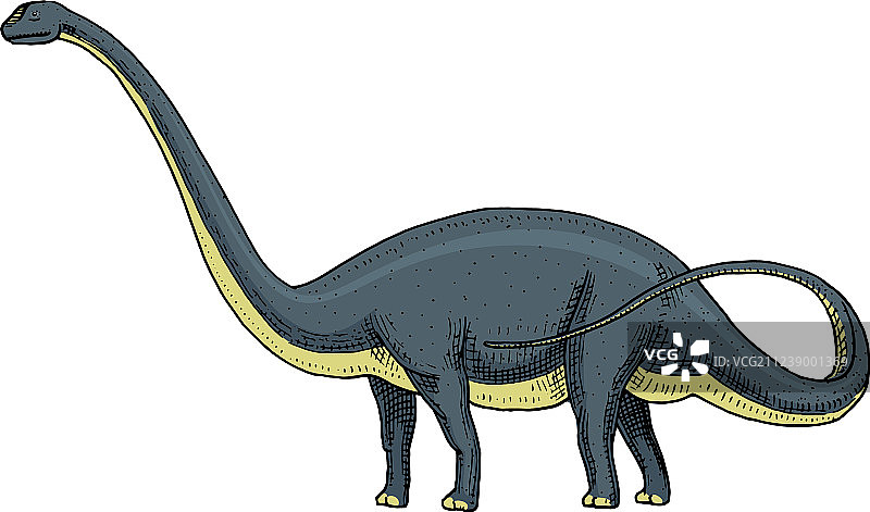 腕龙或板龙恐龙图片素材