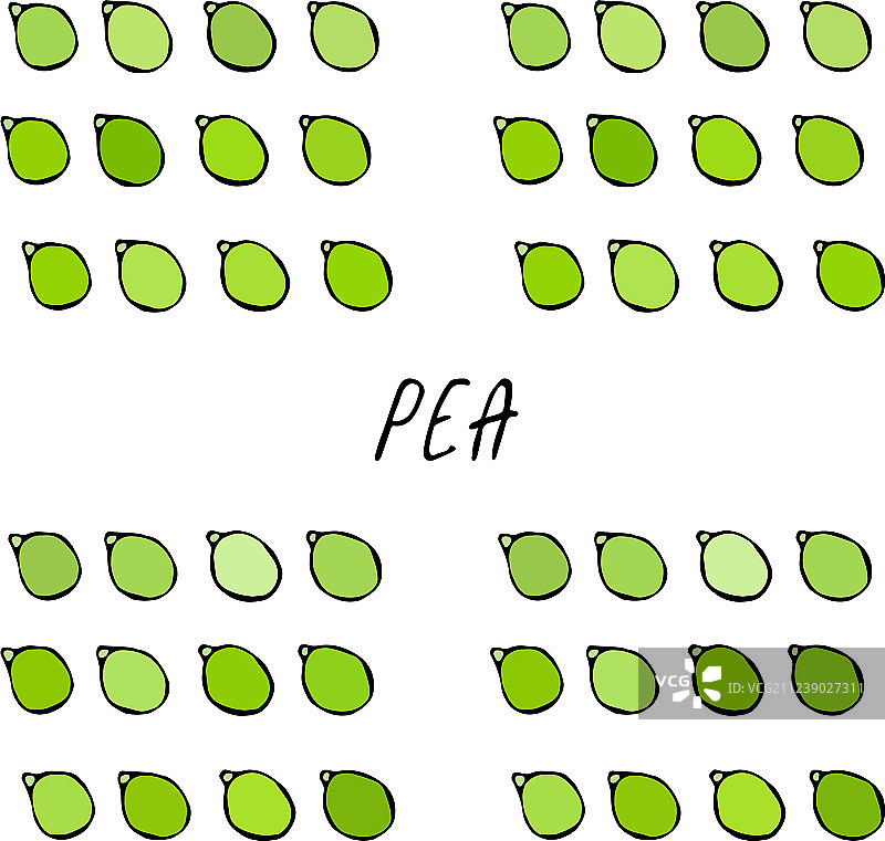 去皮绿豌豆荚，健康素食。图片素材