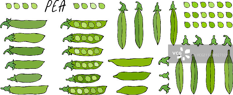 大集合：去皮的绿色豌豆荚，健康有机图片素材